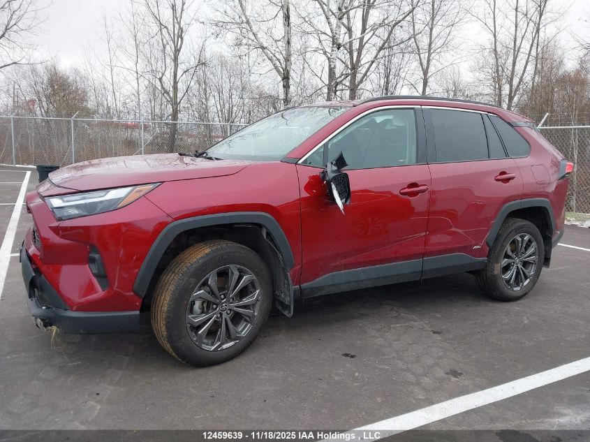2024 Toyota Rav4 VIN: 2T3RWRFV6RW248596 Lot: 12459639