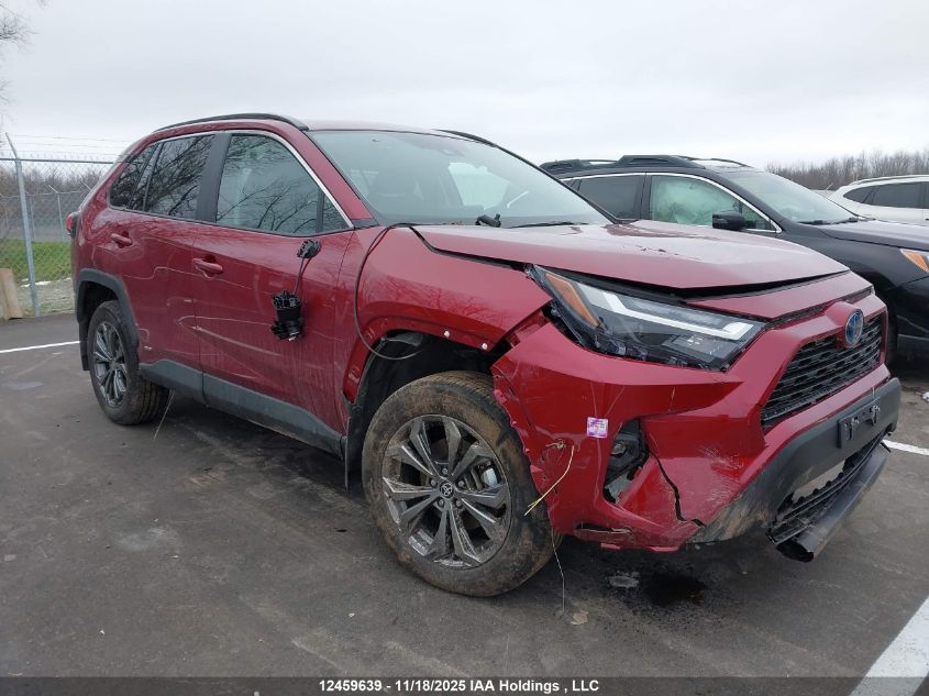 2024 Toyota Rav4 VIN: 2T3RWRFV6RW248596 Lot: 12459639