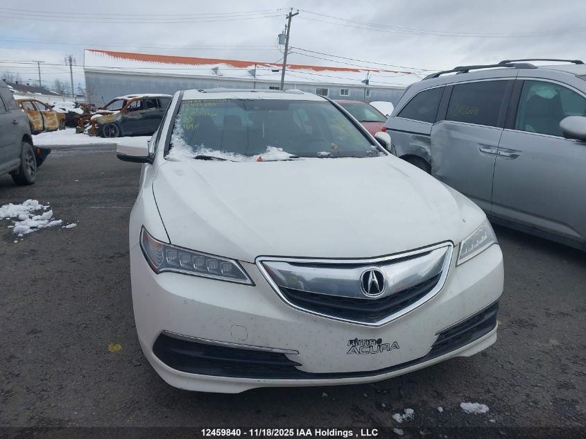 2015 Acura Tlx Tech VIN: 19UUB1F51FA800136 Lot: 12459840