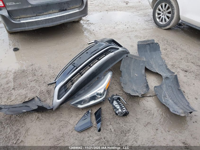 2017 Hyundai Santa Fe Xl Limited VIN: KM8SNDHF0HU248341 Lot: 12459842