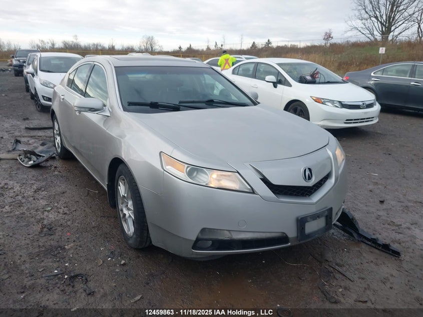 19UUA86559A801256 2009 Acura Tl auction photo 1