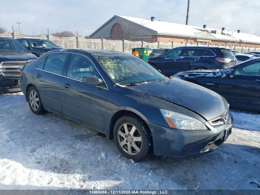 2005 Honda Accord VIN: 1HGCM66585A802399 Lot: 12459865
