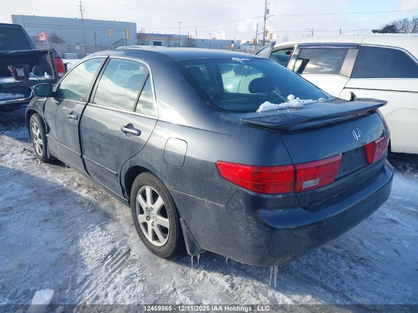 2005 Honda Accord VIN: 1HGCM66585A802399 Lot: 12459865