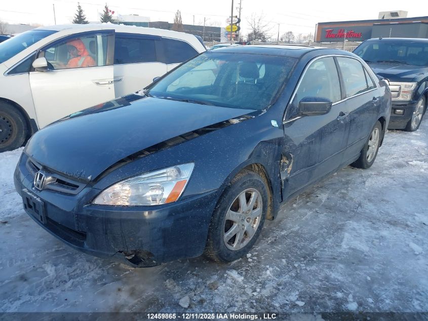2005 Honda Accord VIN: 1HGCM66585A802399 Lot: 12459865