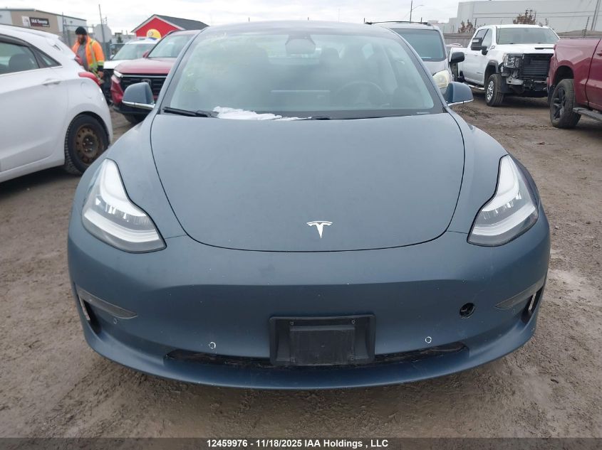 2020 Tesla Model 3 VIN: 5YJ3E1EB9LF670523 Lot: 12459976