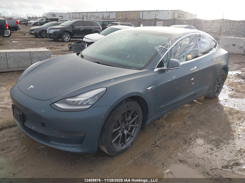 2020 Tesla Model 3 VIN: 5YJ3E1EB9LF670523 Lot: 12459976
