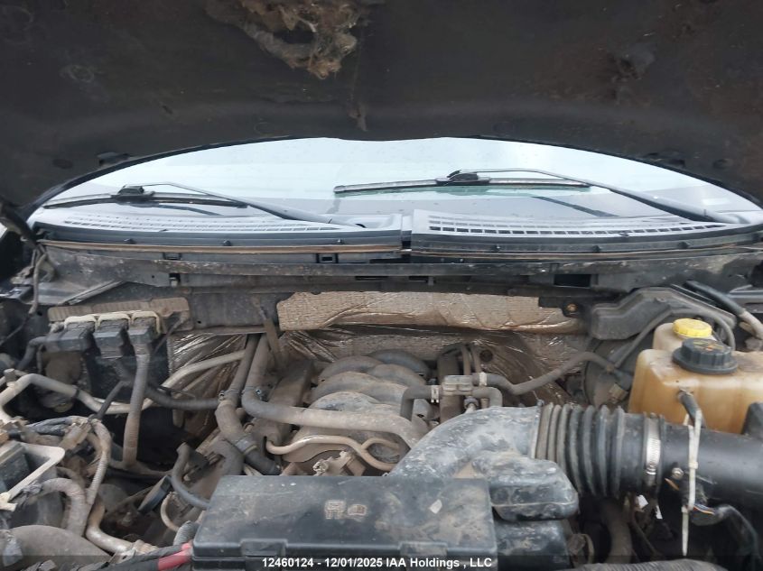 2014 Ford F150 Supercrew VIN: 1FTFW1EF5EFB34874 Lot: 12460124