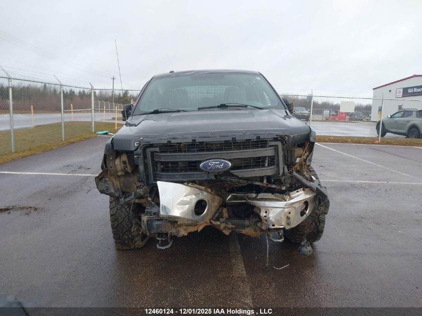 2014 Ford F150 Supercrew VIN: 1FTFW1EF5EFB34874 Lot: 12460124