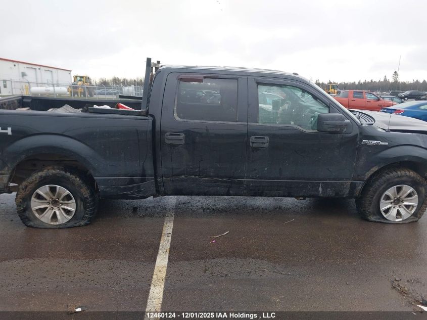 2014 Ford F150 Supercrew VIN: 1FTFW1EF5EFB34874 Lot: 12460124