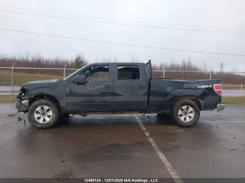 2014 Ford F150 Supercrew VIN: 1FTFW1EF5EFB34874 Lot: 12460124