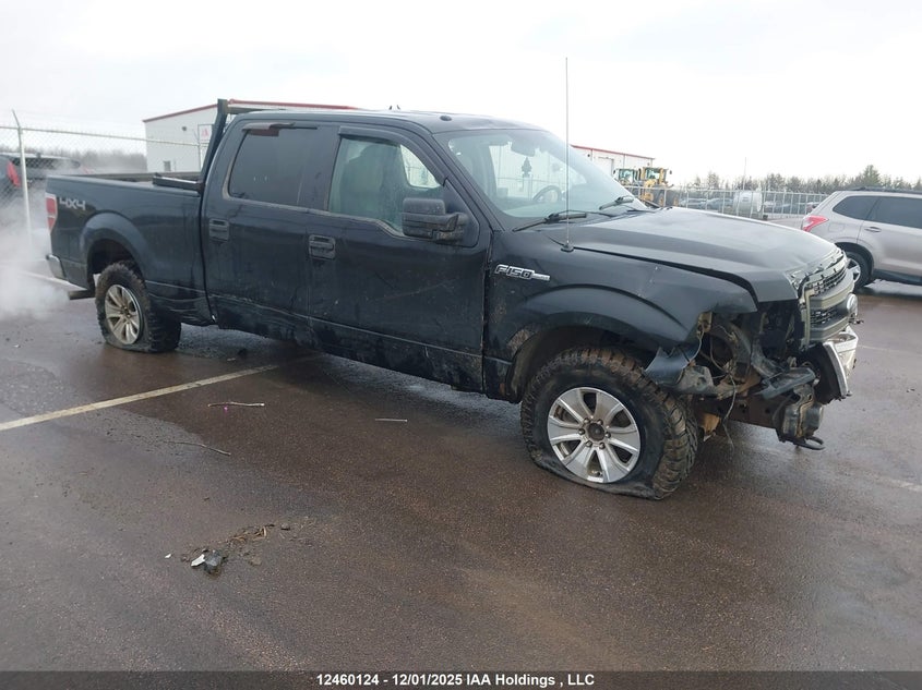 1FTFW1EF5EFB34874 2014 Ford F150 Supercrew auction photo 1