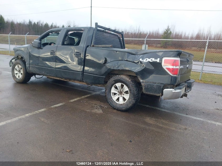 1FTFW1EF5EFB34874 2014 FORD F-150 photo no. 3
