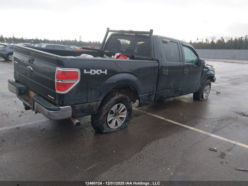 1FTFW1EF5EFB34874 2014 FORD F-150 photo no. 4