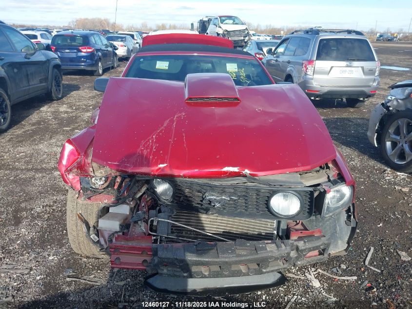 2007 Ford Mustang Gt VIN: 1ZVHT85H075318752 Lot: 12460127