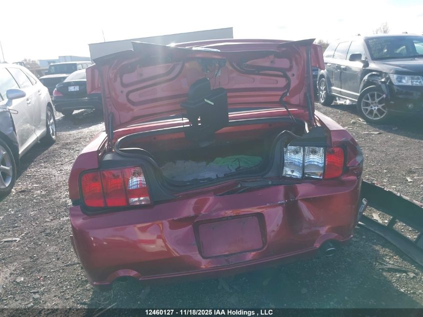 2007 Ford Mustang Gt VIN: 1ZVHT85H075318752 Lot: 12460127