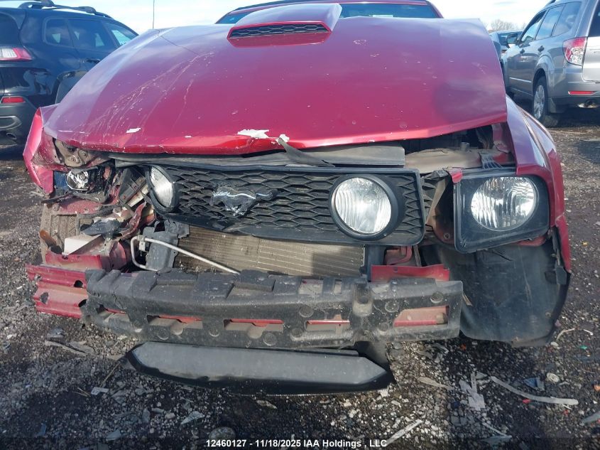 2007 Ford Mustang Gt VIN: 1ZVHT85H075318752 Lot: 12460127