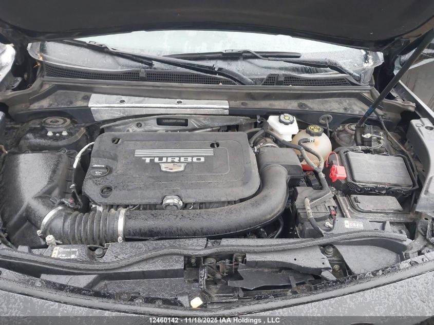 2023 Cadillac Xt4 Luxury VIN: 1GYFZBR49PF104750 Lot: 12460142