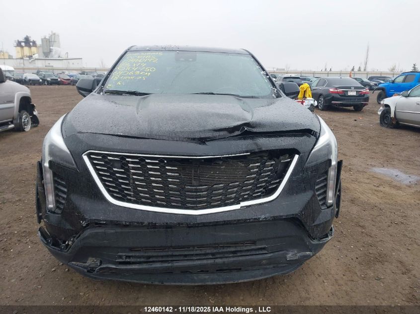 2023 Cadillac Xt4 Luxury VIN: 1GYFZBR49PF104750 Lot: 12460142
