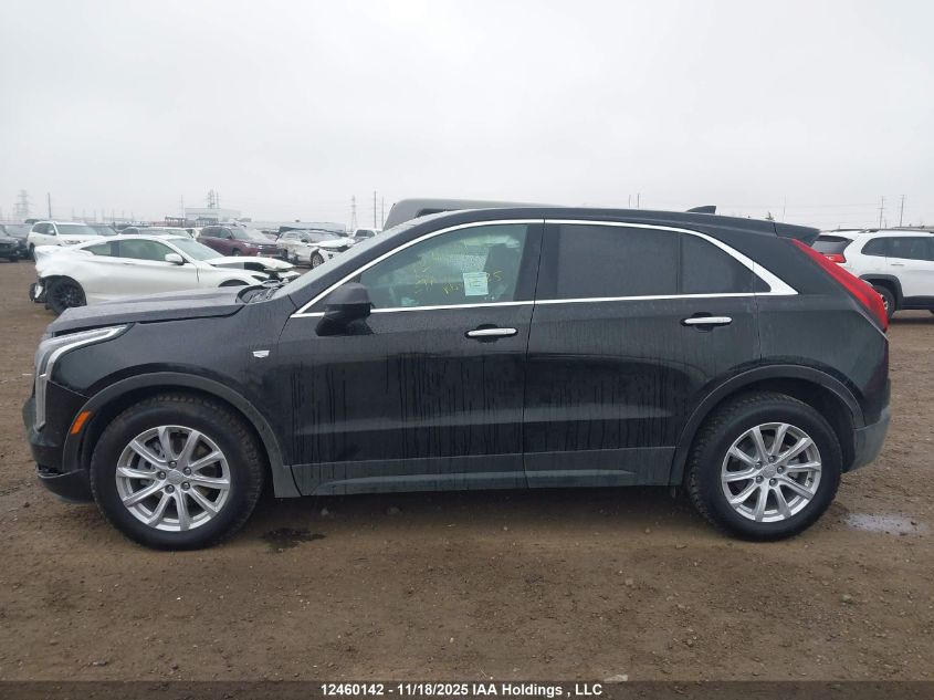 2023 Cadillac Xt4 Luxury VIN: 1GYFZBR49PF104750 Lot: 12460142