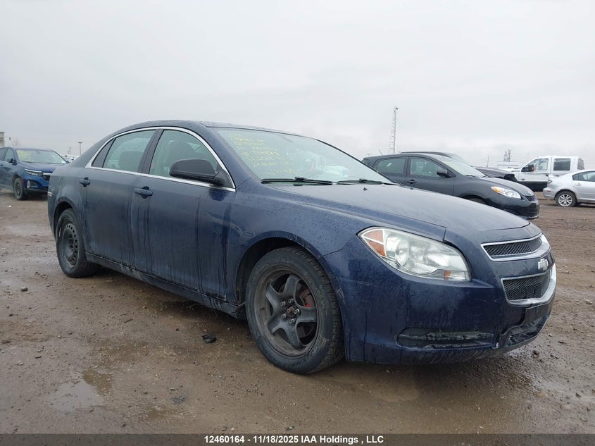 1G1ZB5E00AF194978 2010 CHEVROLET MALIBU photo no. 14