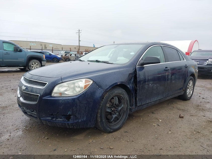 1G1ZB5E00AF194978 2010 CHEVROLET MALIBU photo no. 2