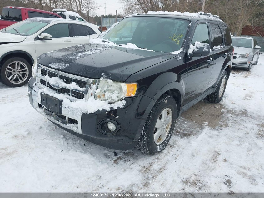 1FWCU0DG7AKA28002 2010 FORD ESCAPE photo no. 2