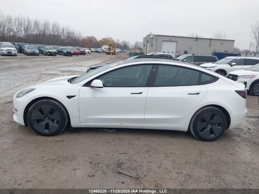 2021 Tesla Model 3 VIN: 5YJ3E1EA6MF976538 Lot: 12460225