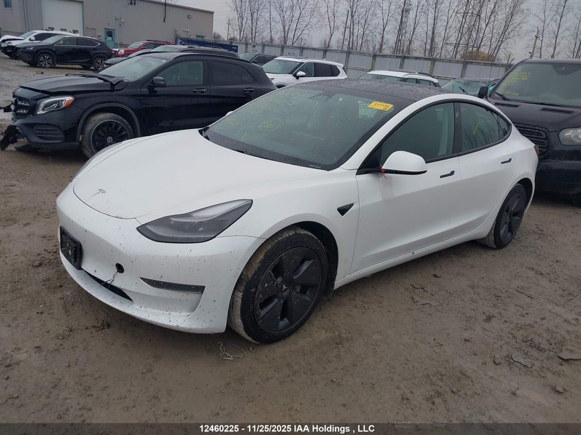 5YJ3E1EA6MF976538 2021 TESLA MODEL 3 photo no. 2