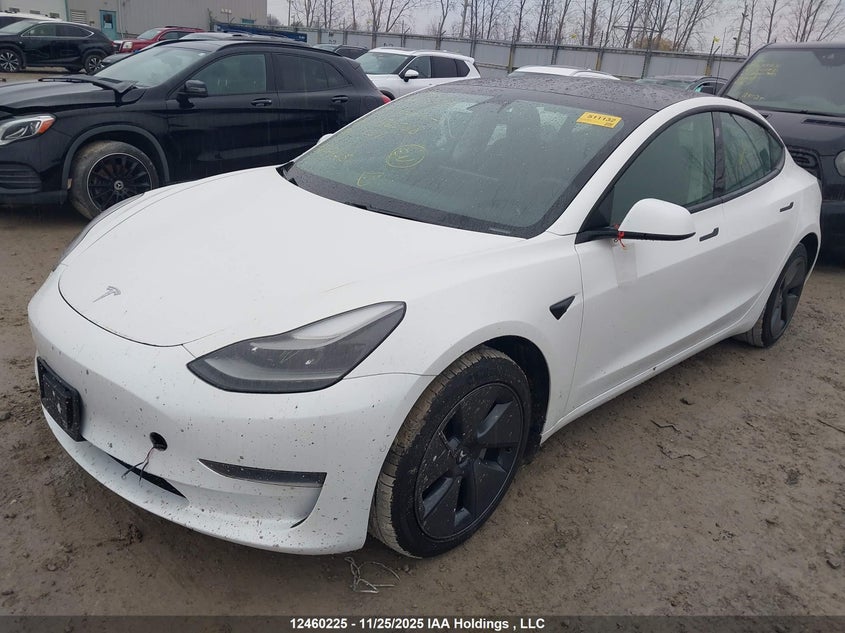 2021 Tesla Model 3 VIN: 5YJ3E1EA6MF976538 Lot: 12460225