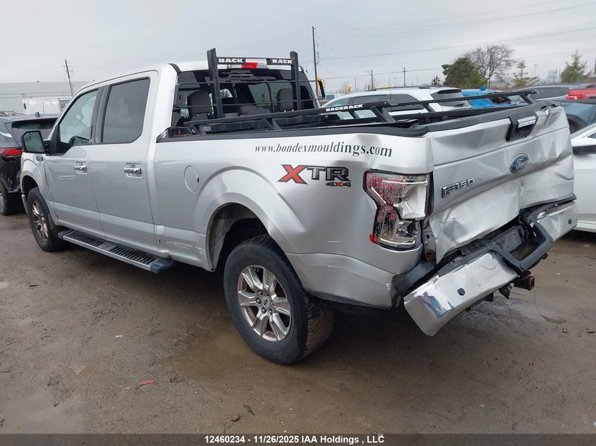 1FTFW1EF6HFA61695 2017 FORD F-150 photo no. 3
