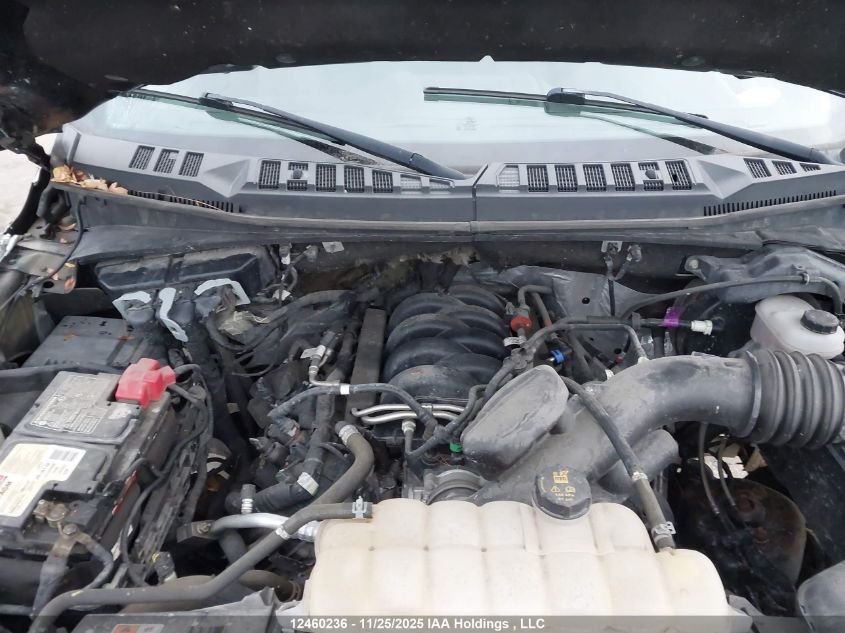 2018 Ford F-150 VIN: 1FTFW1E59JFC49432 Lot: 12460236