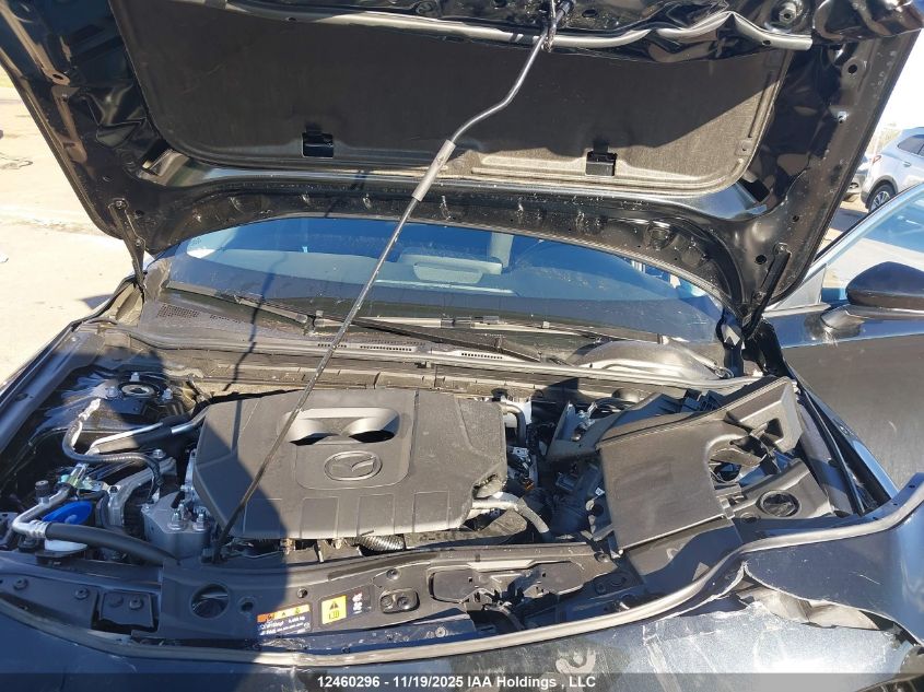 2025 Mazda Mazda3 Gx VIN: JM1BPABM9S1795895 Lot: 12460296