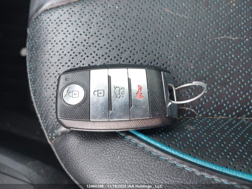 2020 Kia Niro Ex Premium VIN: KNDCE3LG5L5066480 Lot: 12460386