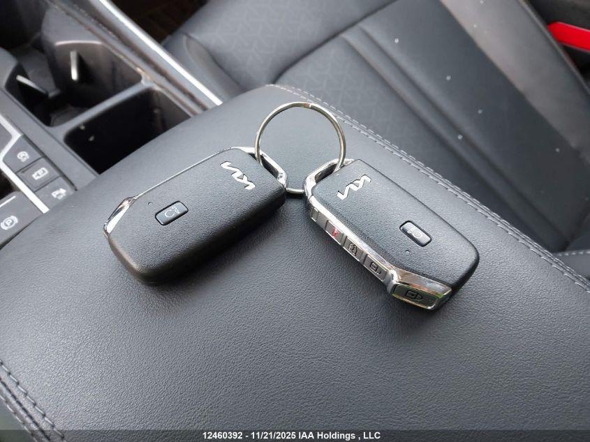 2023 Kia Sorento 2.5T Ex/2.5T Ex+ VIN: 5XYRHDLF6PG223526 Lot: 12460392