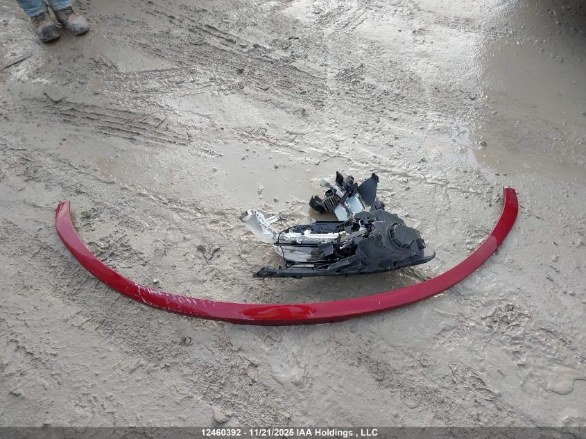 2023 Kia Sorento 2.5T Ex/2.5T Ex+ VIN: 5XYRHDLF6PG223526 Lot: 12460392