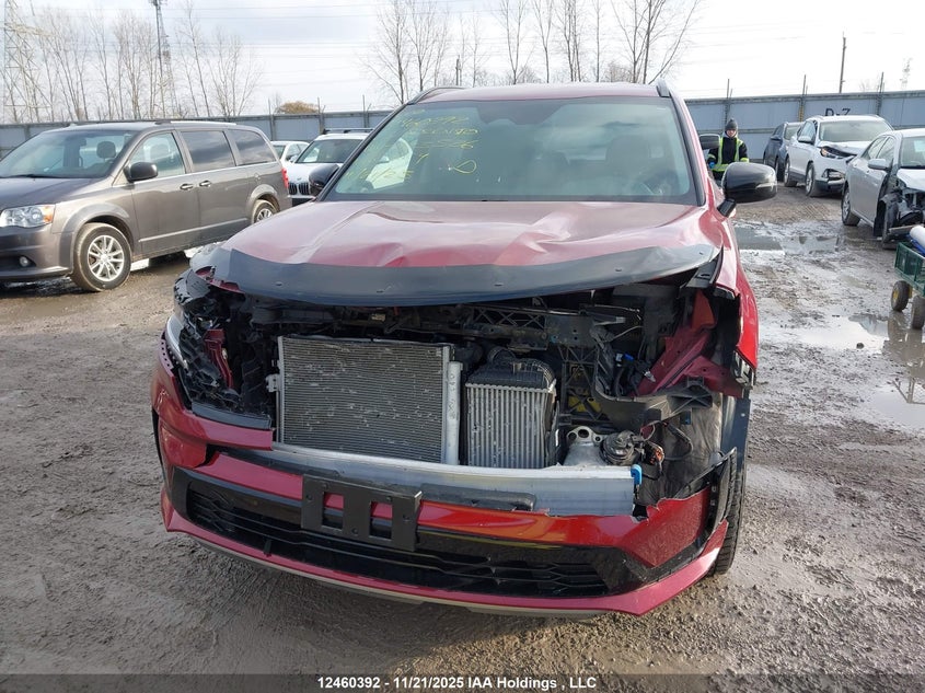 2023 Kia Sorento 2.5T Ex/2.5T Ex+ VIN: 5XYRHDLF6PG223526 Lot: 12460392