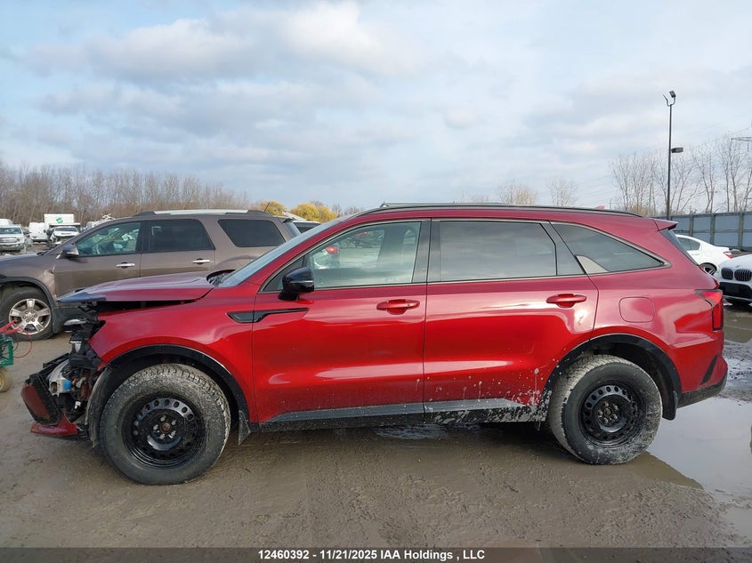 2023 Kia Sorento 2.5T Ex/2.5T Ex+ VIN: 5XYRHDLF6PG223526 Lot: 12460392