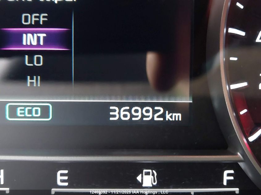 2023 Kia Sorento 2.5T Ex/2.5T Ex+ VIN: 5XYRHDLF6PG223526 Lot: 12460392