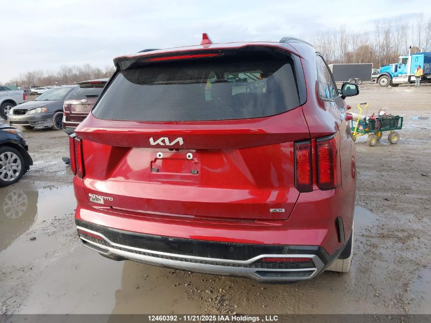 2023 Kia Sorento 2.5T Ex/2.5T Ex+ VIN: 5XYRHDLF6PG223526 Lot: 12460392