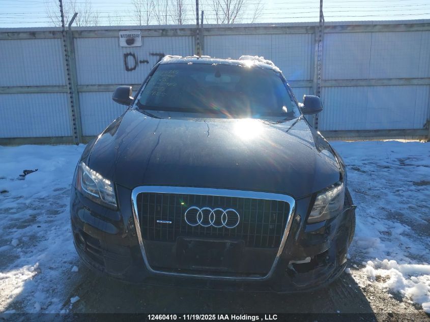 2011 Audi Q5 Premium Plus VIN: WA1LKCFP6BA009712 Lot: 12460410