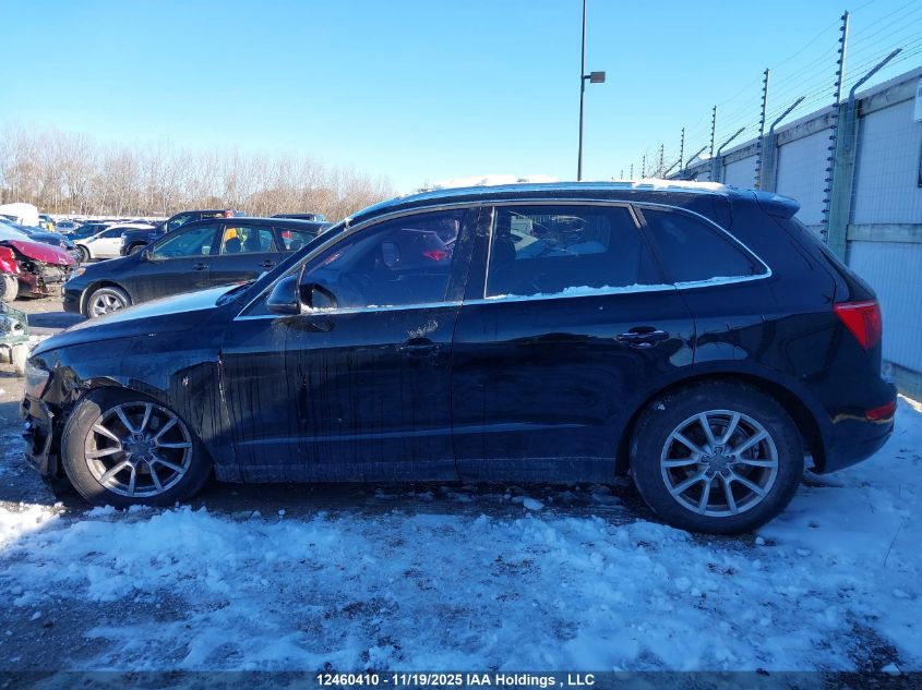 2011 Audi Q5 Premium Plus VIN: WA1LKCFP6BA009712 Lot: 12460410