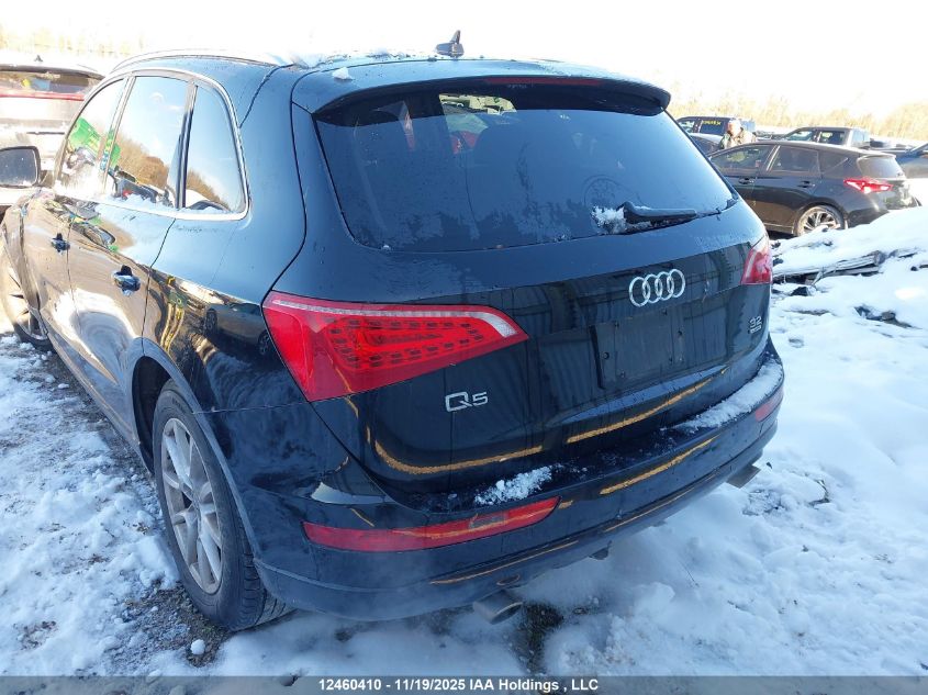 2011 Audi Q5 Premium Plus VIN: WA1LKCFP6BA009712 Lot: 12460410