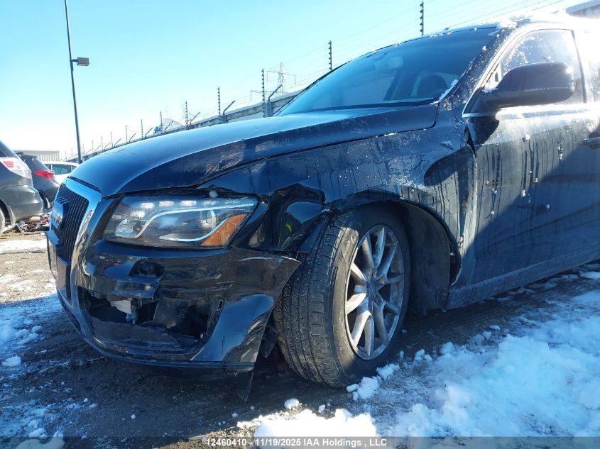 2011 Audi Q5 Premium Plus VIN: WA1LKCFP6BA009712 Lot: 12460410