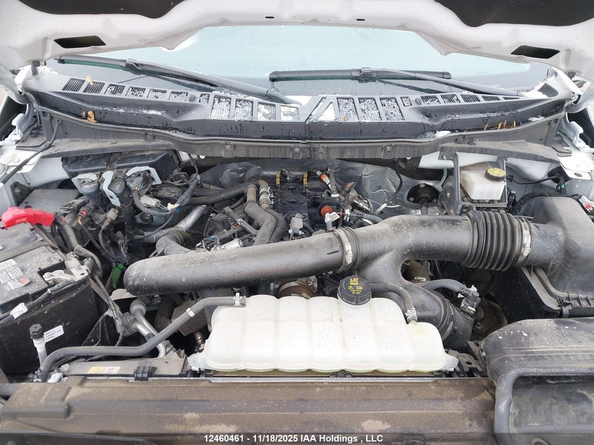 1FTFW3L84RKD77847 2024 FORD F-150 photo no. 10