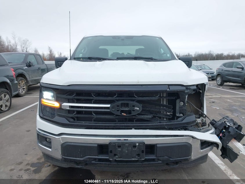 1FTFW3L84RKD77847 2024 FORD F-150 photo no. 12