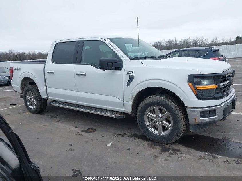 1FTFW3L84RKD77847 2024 FORD F-150 photo no. 13