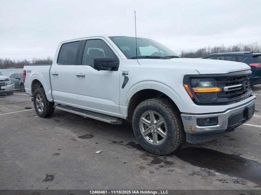 1FTFW3L84RKD77847 2024 FORD F-150 photo no. 6