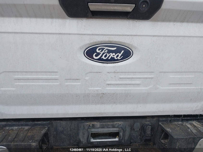 1FTFW3L84RKD77847 2024 FORD F-150 photo no. 20