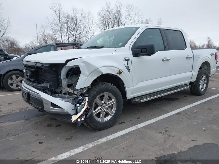 1FTFW3L84RKD77847 2024 FORD F-150 photo no. 2