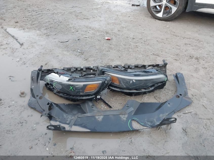 2019 Jeep Cherokee Trailhawk VIN: 1C4PJMBX8KD318523 Lot: 12460519